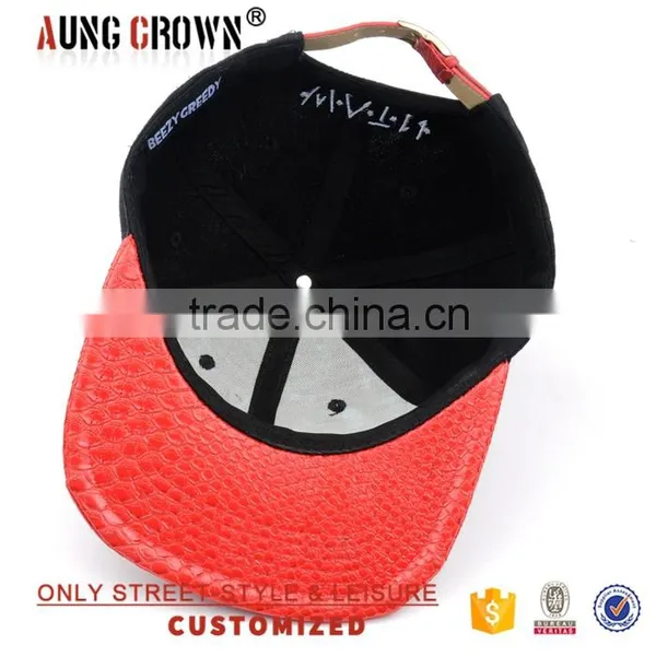 Hip Hop Cap and Hats/cap and Hats for Sale/fashion Snapback Cap and Hat photo-6