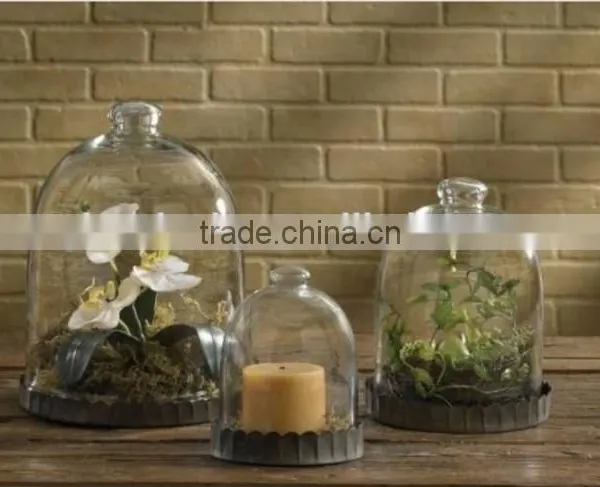 Wholesale Glass Bell Cloche and Glass Cloches as Glass Dome With Wooden Base photo-3