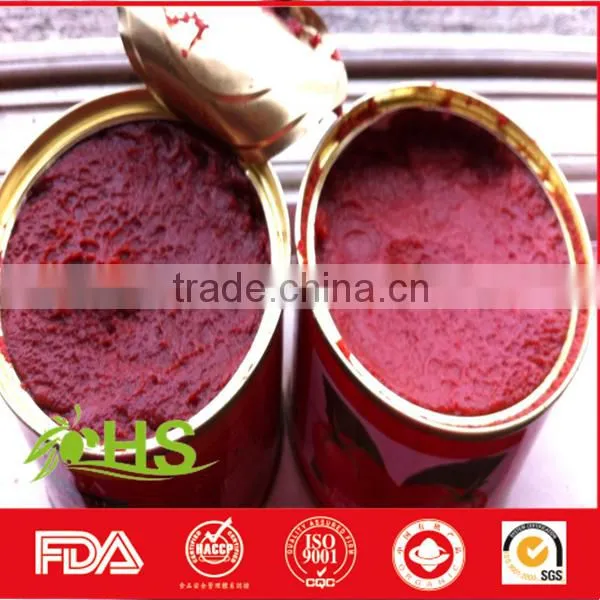 Wholesale Canned Tomato Paste/tomato Ketchup photo-4