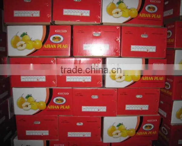 Fresh Shandong Pear 60-70-80 in 15kg Carton photo-6