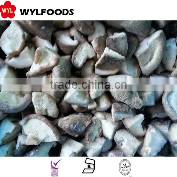Shitakee Mushroom Iqf With Good Quality photo-3