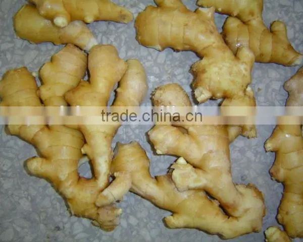 Fresh Washed Ginger photo-5