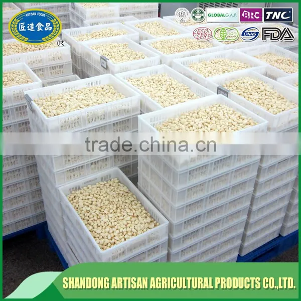 Factory Peeled Garlic Price photo-5