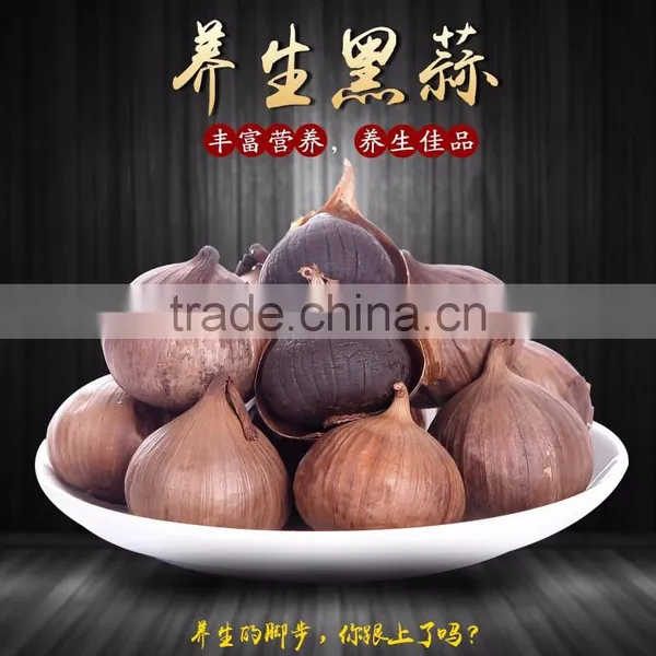 High Quality Black Garlic Wiht Healthy Benefit photo-2