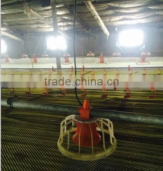 Eonomical Commercial Steel Frame Broiler Chicken House photo-4