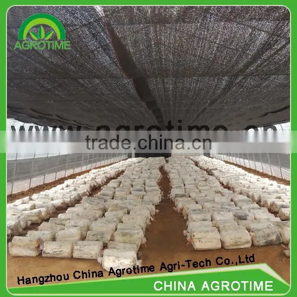 Mushrooms Greenhouse for Agriculture Farming photo-2