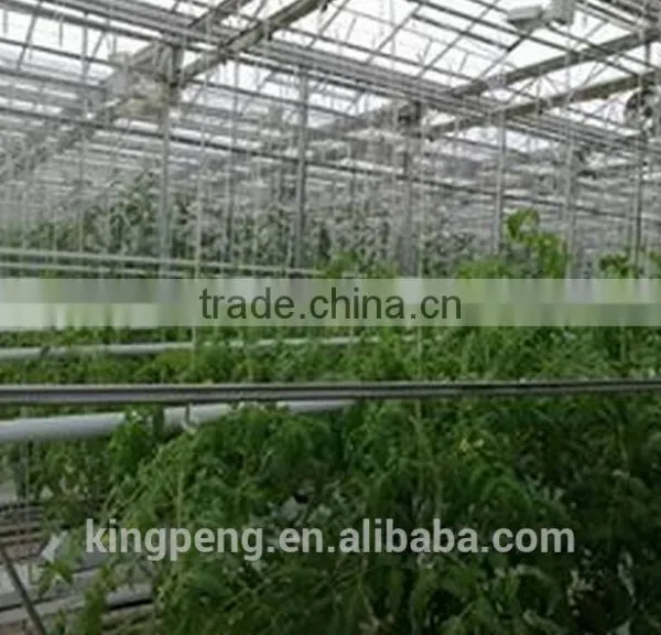 Snow and Ice Load Glass Greenhouse photo-2