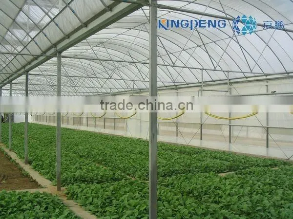 Agricultural Plastic Film Greenhouse With Arch Roof photo-2