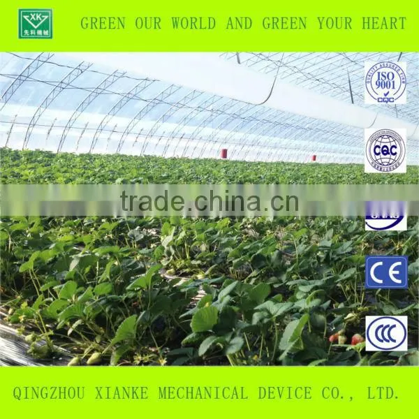 Low Cost Agriculture Greenhouse for Vegetable and Flowers photo-2