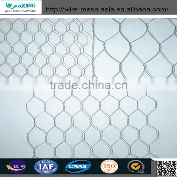 Hexagonal Hole Shape and Galvanized Iron Wire Material Hexagonal Wire Mesh photo-3