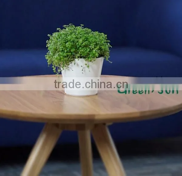 Small Flower Pot Plastic Decoration Potted Plant Pot photo-5