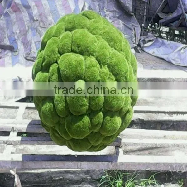 Q111925 China Wholesale Plastic Artificial Moss Home Decoration Moss Ball photo-6