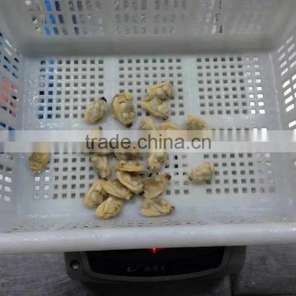 Mix of Seafood photo-5