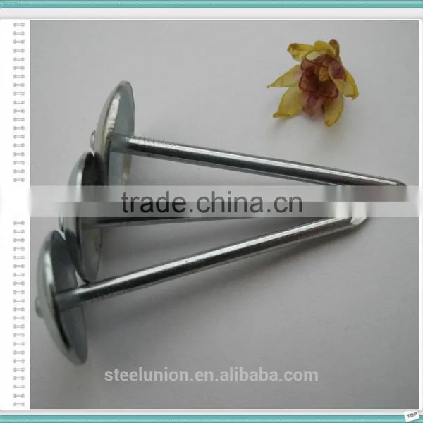 Galvanzied Roofing Nails /umbrella Head Roofing Nails photo-6