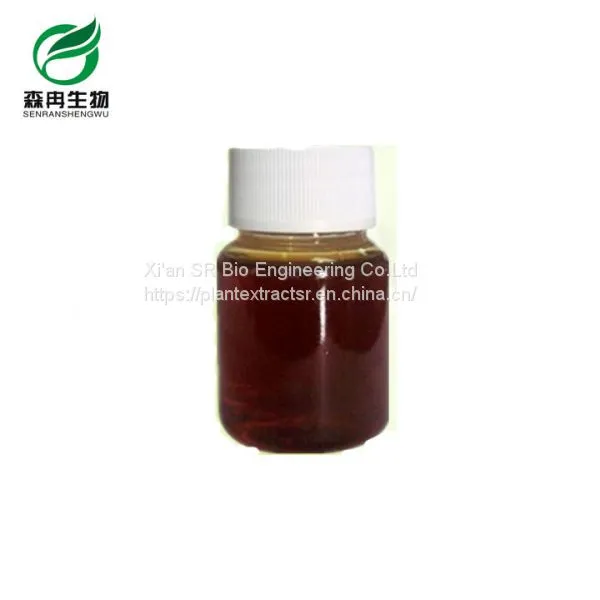 Manufacture Supplier Zedoary Turmeric Oil