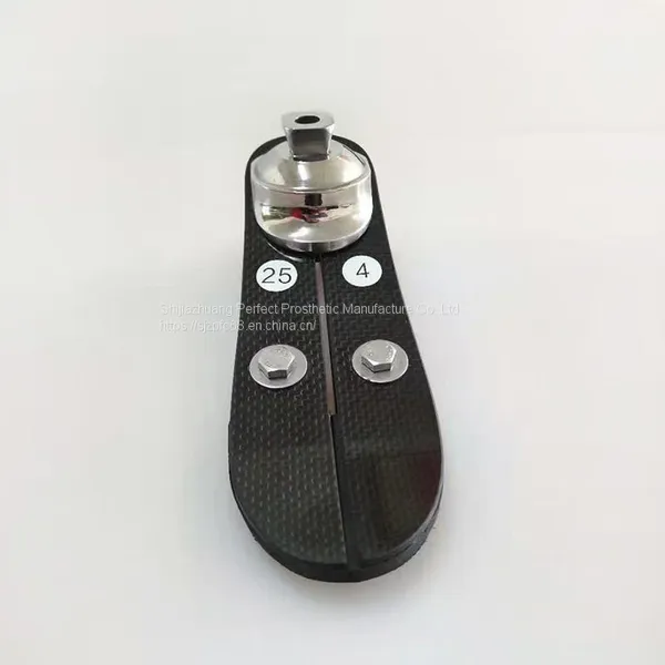 Prosthetic Leg Low Ankle Carbon Fiber Elastic Foot photo-3