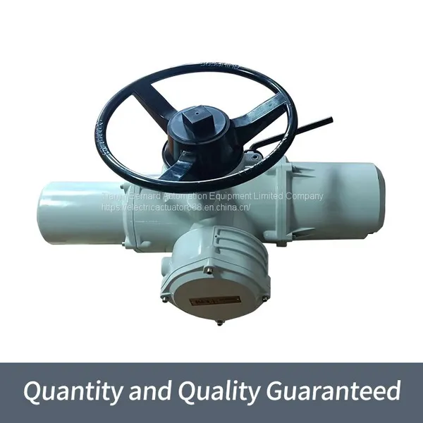 Rotoque Multi Rotary Gate Valve Device IQ35 Industrial Bus Electric Actuator photo-5