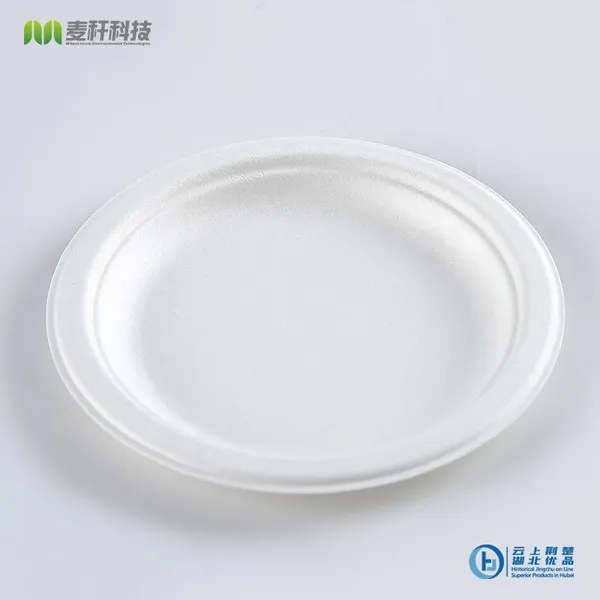 Disposable Biodegradable 6 INCH PLATE Take Away Sugarcane Outdoor Dining and Painting photo-2