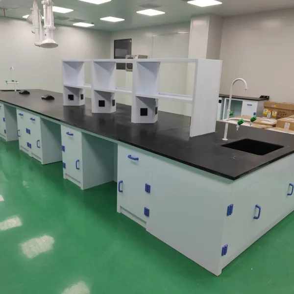 PP Central Laboratory Workbench photo-4
