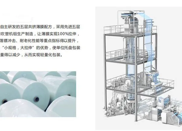 Fully Automatic Packaging System PE Film Cold Stretch Hood Film Food Packing Machine photo-2