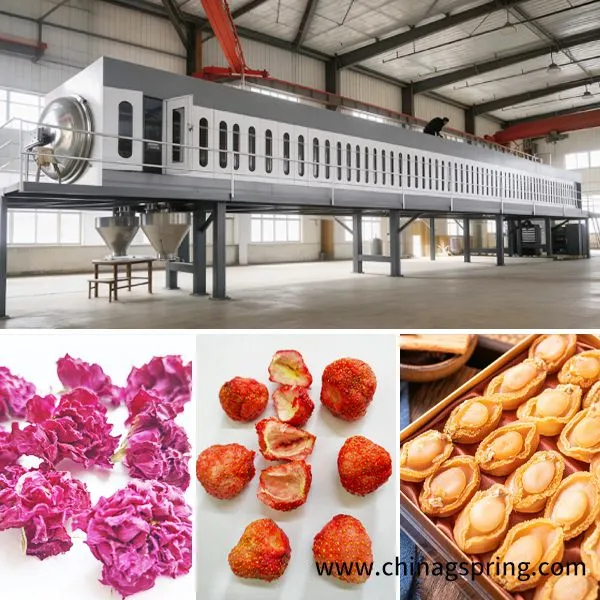 Microwave Vacuum Oven High Efficiency Low Temperature Microwave Vacuum Dryer Machine For Food Pharmaceutical Chemical Industry photo-2