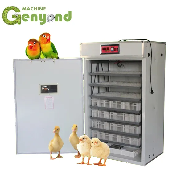 Egg Hatchery Incubator Machine for Poultry Hatching
