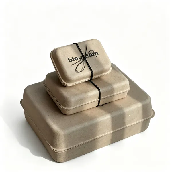 Molded Pulp Gift Box for Luxury Apparel & Silk Scarves, Custom Print With Belly Band, Elegant Boutique Presentation Packaging
