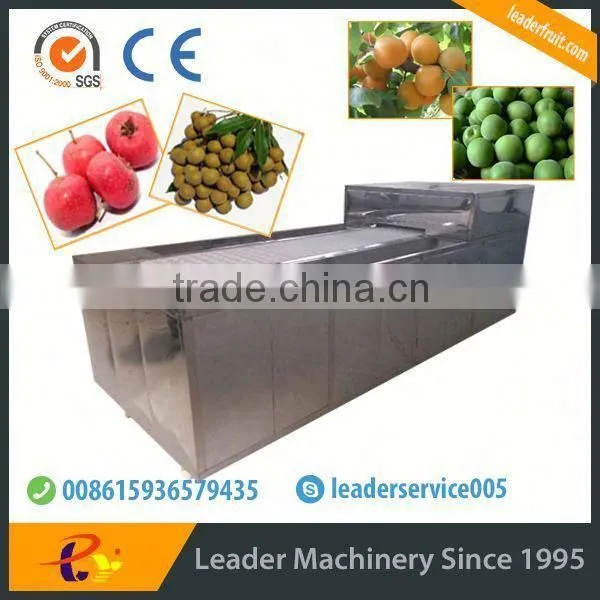 Leader Fresh Dates Pitting Machine With Website:leaderservice005