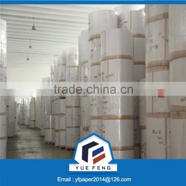 C1S Ivory Board Paper for Food Package /Folding Box Board