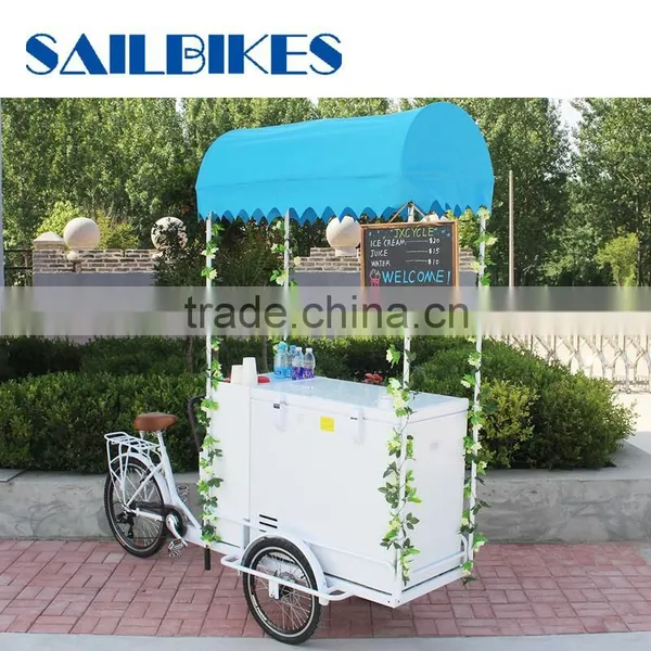 Mini Mobile Ice Cream Cart and Ice Cream Bike for Sale photo-2