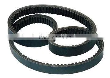 Automotive v Belt