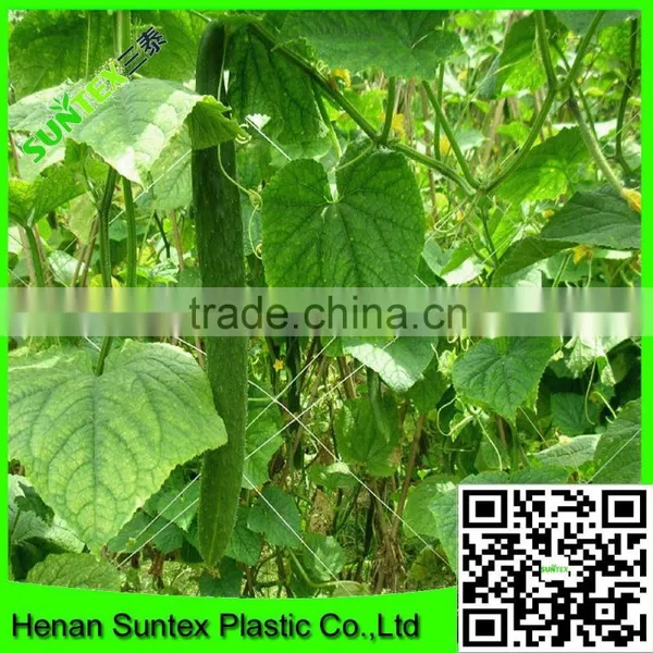 SUPER PLANT SUPPORTS NETTING MADE EASY GROW TENT NET photo-5