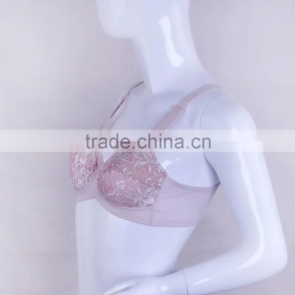 Customized Moder Stylish Latest Fashion Transparent Sexy Ladies' Model Bra photo-4