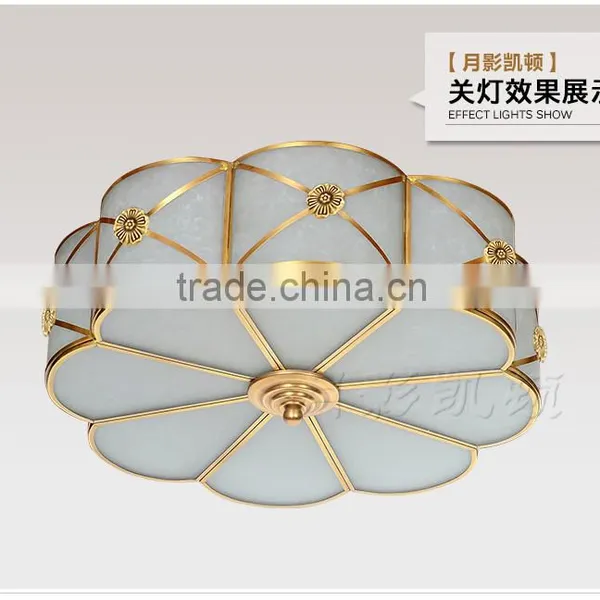 Ceiling Lighting Home Design Ideas New Ideas Overhead photo-3