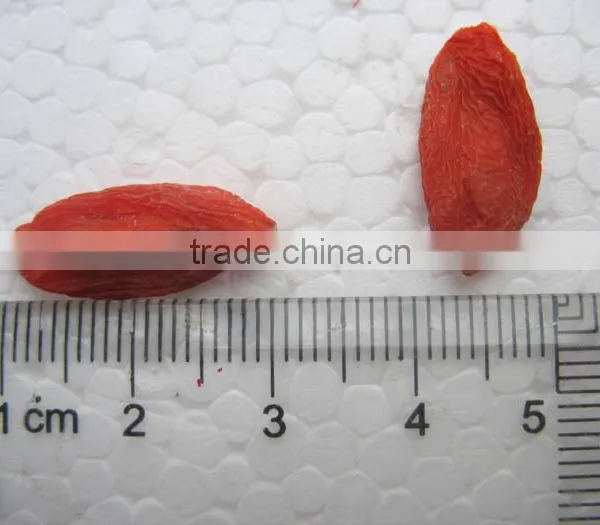 Great Dried Fruit Goji Berry photo-4