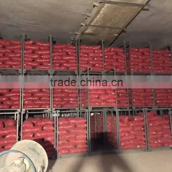 2015 100% Fresh Shallot Onion in China photo-4