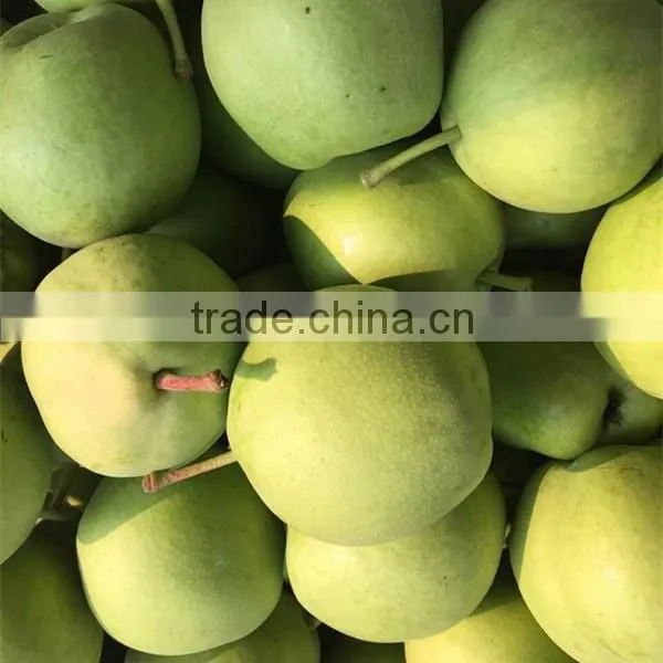 2015 New Crop Fresh su Pear With Good Quality White Pears Fresh Juicy Pears photo-6