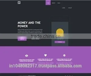 Professional High Quality Website Design Service India