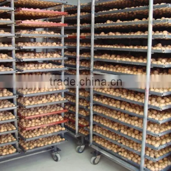 Shell Breaking Machine photo-2