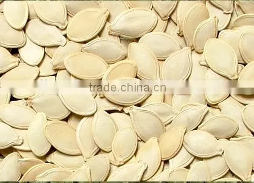 Shine Skin and Snow White Pumpkin Seeds photo-4