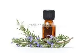 Pure Rosemary Oil From India | Natural Rosemary Oil For Export Only photo-6