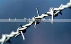 Direct From Factory Quality Galvanized Barbed Wire photo-3