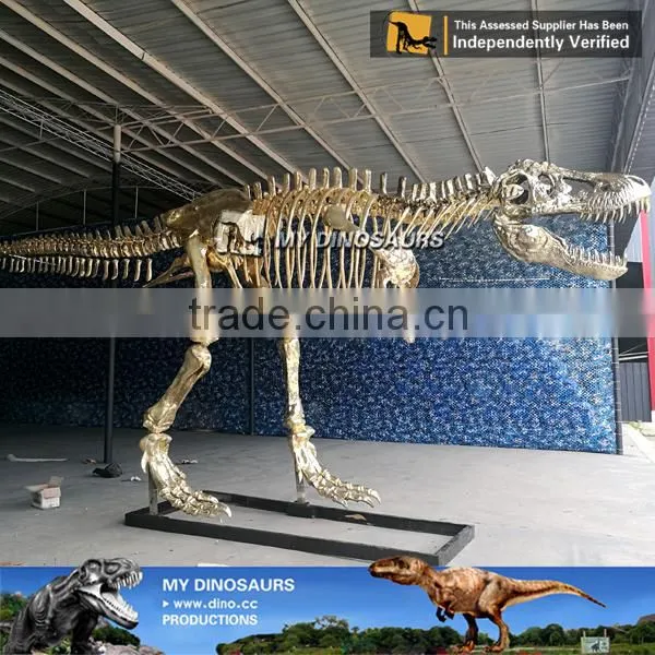 MY Dino-A12 Dinosaur Museum Exhibition Dinosaur Fossil photo-3