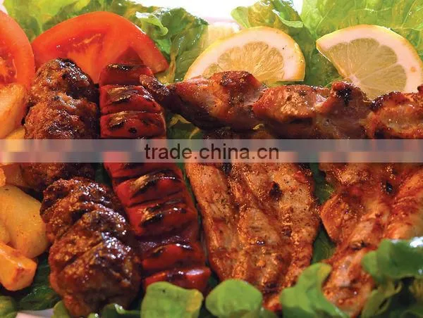 Unique Mini BBQ Grill Folding Barbecue Grill photo-6