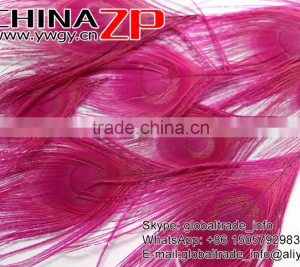 No.1 Supplier ZPDECOR Wholesale Selected Prime Quality Dyed Hot Pink Trimmed Short Peacock Feathers for Decoration photo-4
