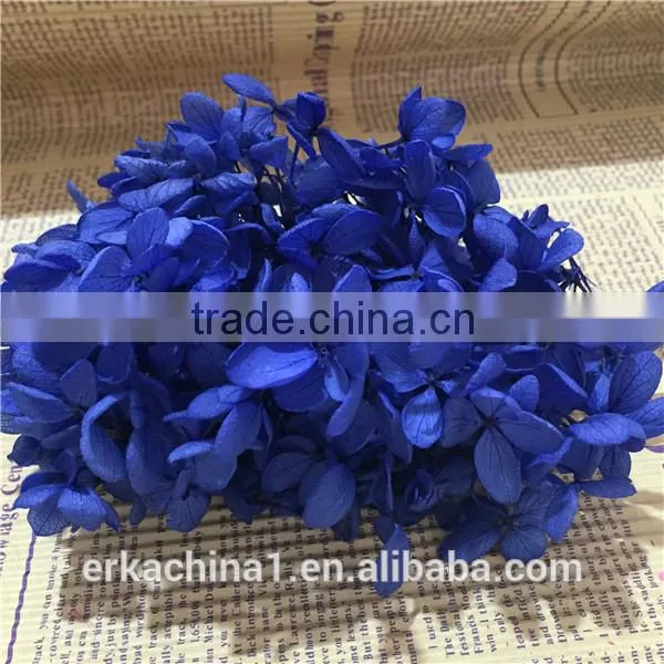 Preserved Flower Hydrangea Flower photo-6