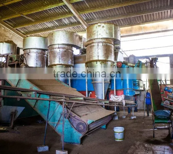 Reasonable Price Special Green Tea SP photo-5