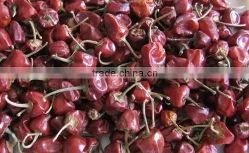Mundu Red Chilles From Tamilnadu photo-3