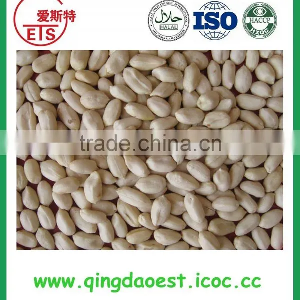 Related Peanut Products, Blached Peanut and Fried Peanut Flavor photo-3