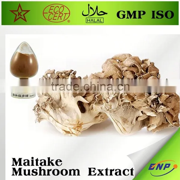 Natural Herb Products Maitake Mushroom Powder
